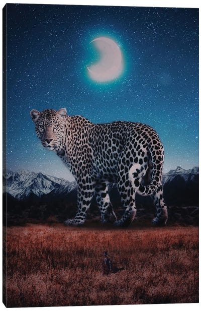 The Masai Maraa Nd The Giant Leopard In Night Canvas Art Print - Maasai Mara National Reserve