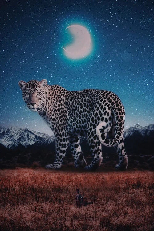 The Masai Maraa Nd The Giant Leopard In Night