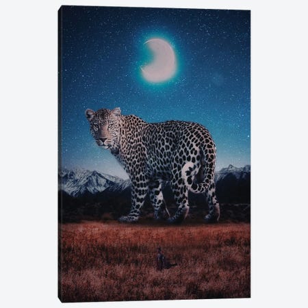 The Masai Maraa Nd The Giant Leopard In Night Canvas Print #GEZ182} by GEN Z Art Print