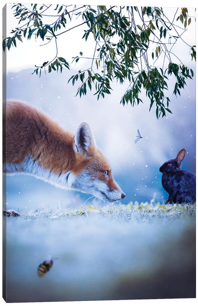 The Red Fox And The Black Rabbit Canvas Art Print - Fox Art