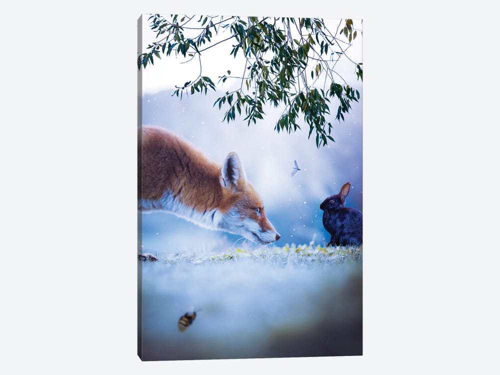 The Red Fox And The Black Rabbit by GEN Z 1-piece Canvas Artwork