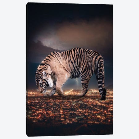 Giant Tiger Ciity King And Lightnings In The Night Canvas Print #GEZ187} by GEN Z Canvas Artwork