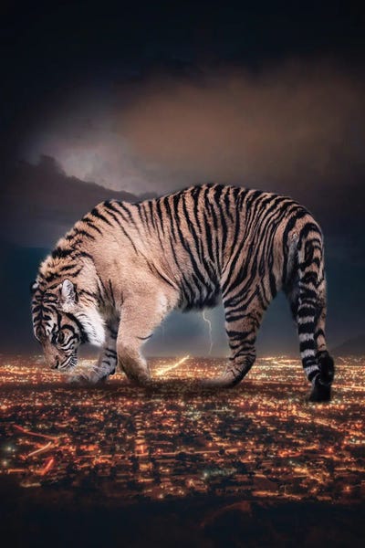 GEN Z: Giant Tiger Ciity King And Lightnings In The Night by GEN Z