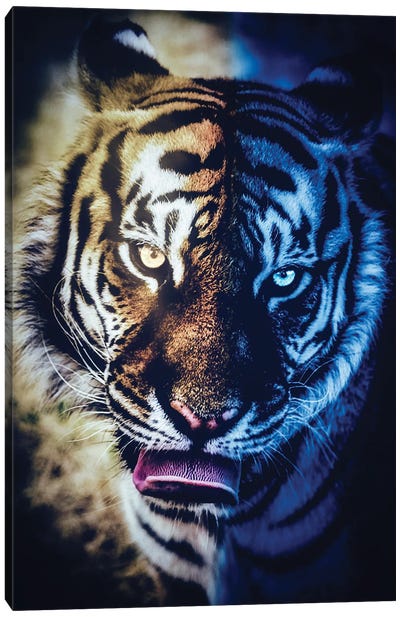 Tiger'S Night And Day Portrait Canvas Art Print - GEN Z