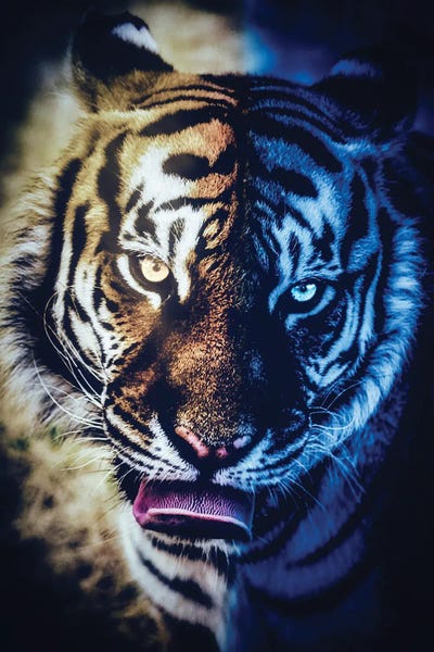 GEN Z: Tiger'S Night And Day Portrait by GEN Z