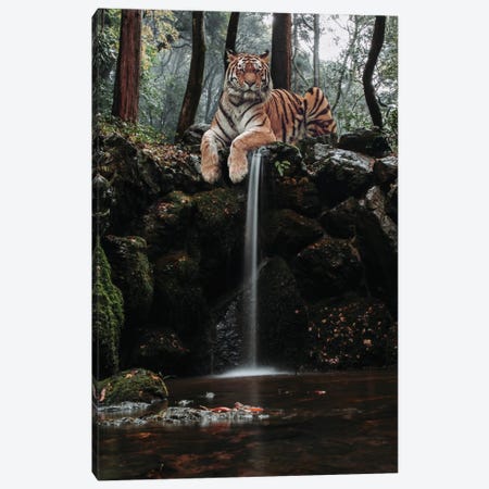 Tiger Waterfall With Robin In River Canvas Print #GEZ189} by GEN Z Canvas Art Print