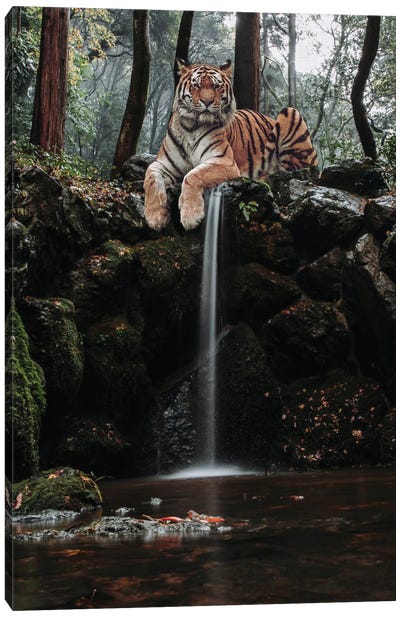 Tiger Waterfall With Robin In River Canvas Art Print - Robin Art