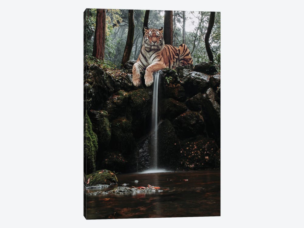Tiger Waterfall With Robin In River 1-piece Canvas Print
