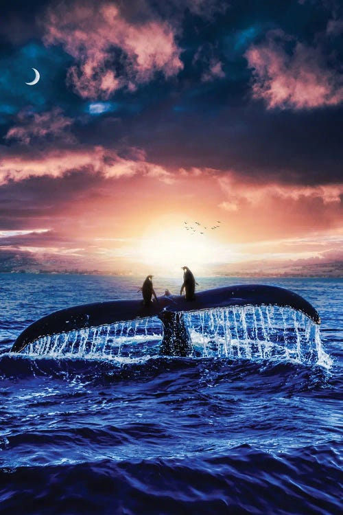 Travel Of Two Penguins On The Back Of A Whale