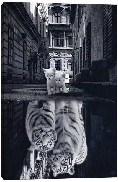 When Little Cats Become Big Cats Puddle Reflection Canvas Art Print - Kitten Art