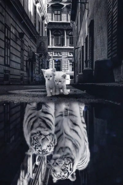 Through The Looking Glass: When Little Cats Become Big Cats Puddle Reflection by GEN Z