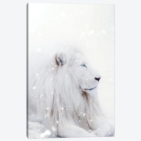 White Lion King Of The Winter Under Snow Canvas Print #GEZ203} by GEN Z Canvas Wall Art