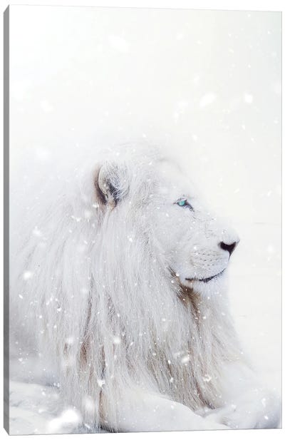 White Lion King Of The Winter Under Snow Canvas Art Print - Winter Wonderland