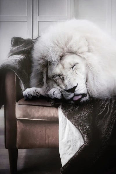 White Lion Sleeping On Sofa by GEN Z framed wall art