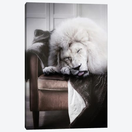 White Lion Sleeping On Sofa Canvas Print #GEZ205} by GEN Z Canvas Print
