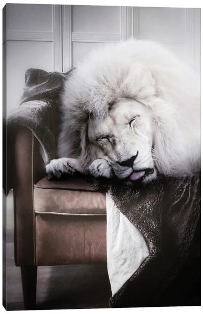 White Lion Sleeping On Sofa Canvas Art Print - GEN Z