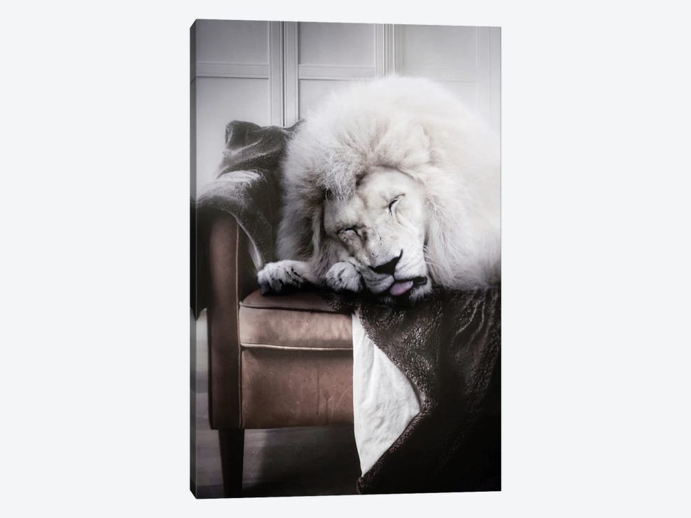 White Lion Sleeping On Sofa by GEN Z 1-piece Canvas Art Print