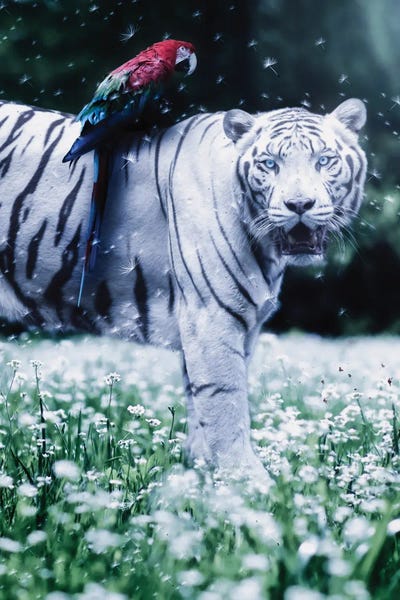 Parrots: White Tiger, Parrow And Flying Dandelions by GEN Z