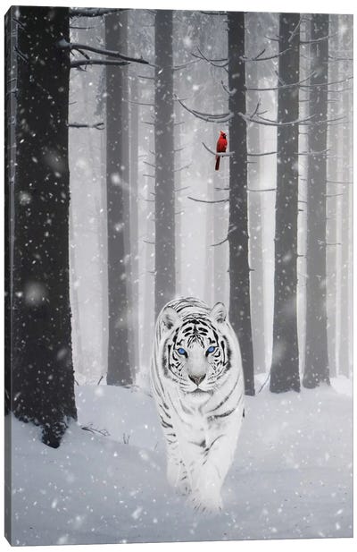 White Tiger And Red Cardinal Under Snow In Forest Canvas Art Print - Tiger Art