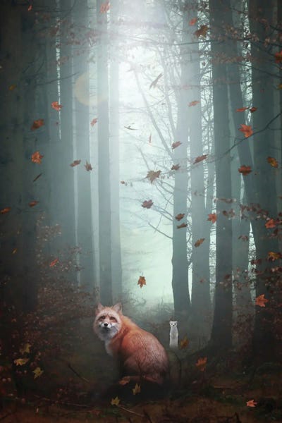 Red Fox And White Ermine In Autumnal Forest