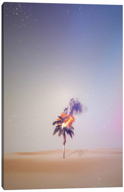 Palm Tree On Fire Canvas Art Print - Desert Landscape Photography