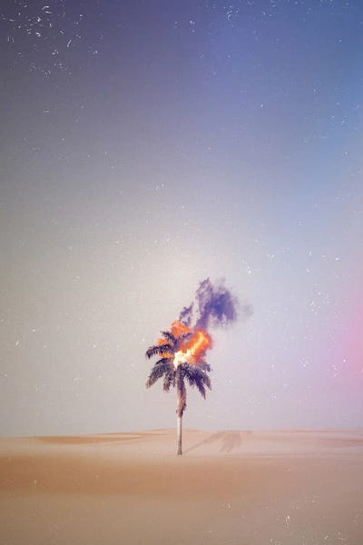 GEN Z: Palm Tree On Fire by GEN Z