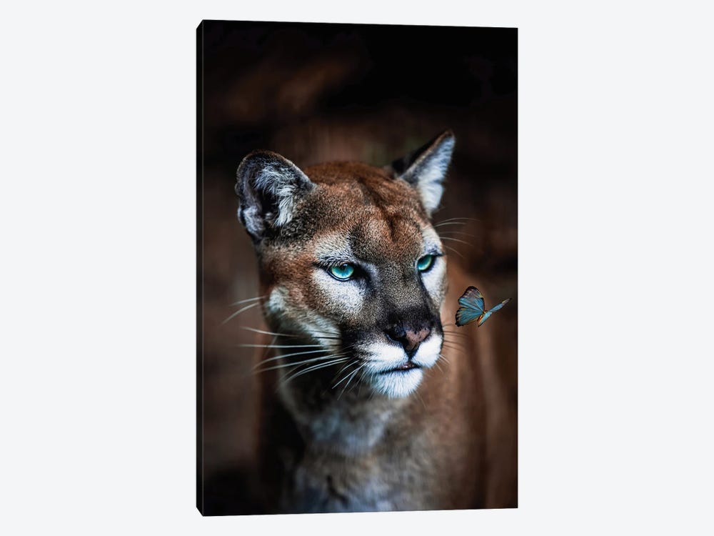 Puma And Blue Butterfly by GEN Z 1-piece Canvas Print