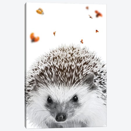 Hedgehog And Ladybugs Canvas Print #GEZ218} by GEN Z Canvas Print
