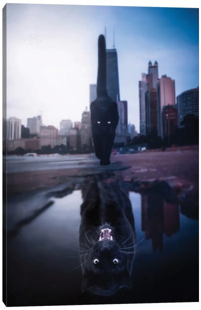 Black Cat Black Panther Puddle Reflection Canvas Art Print - Through The Looking Glass