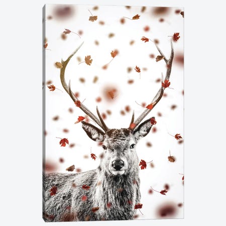 Deer And Autumn Leaves Canvas Print #GEZ224} by GEN Z Canvas Print
