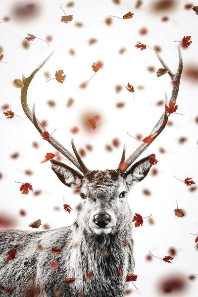 GEN Z: Deer And Autumn Leaves by GEN Z