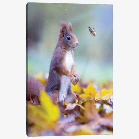 Squirrel And Orange Butterfly In Autumn Leaves Canvas Print #GEZ235} by GEN Z Canvas Artwork