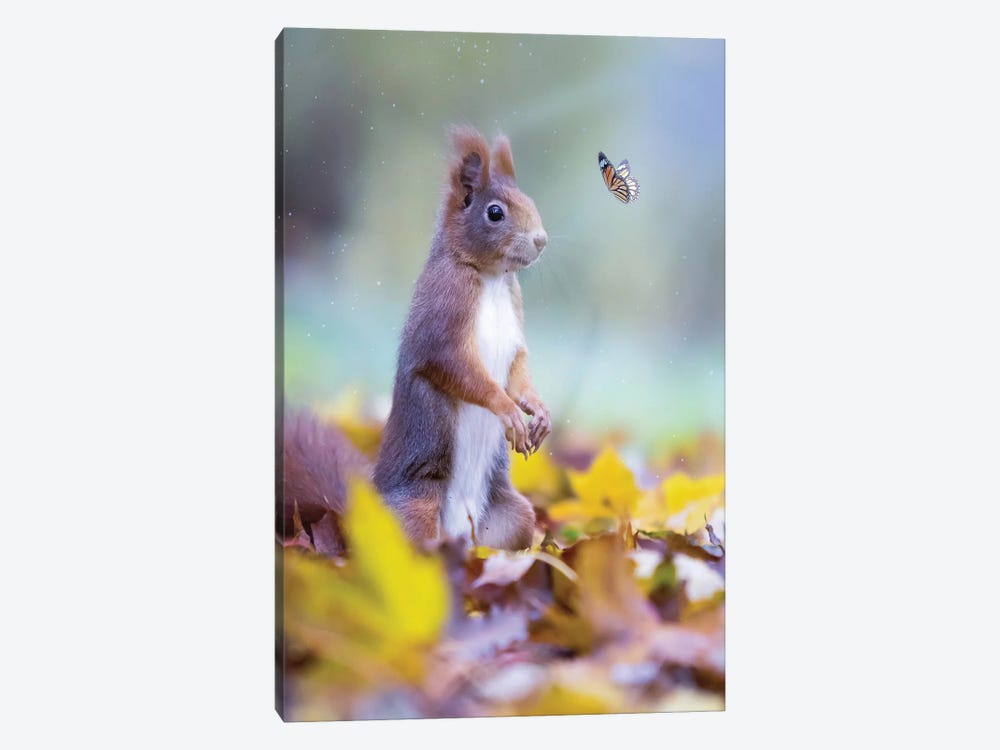 Squirrel And Orange Butterfly In Autumn Leaves by GEN Z 1-piece Canvas Wall Art