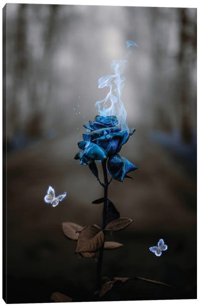 Blue Rose And Flame Butterflies Canvas Art Print