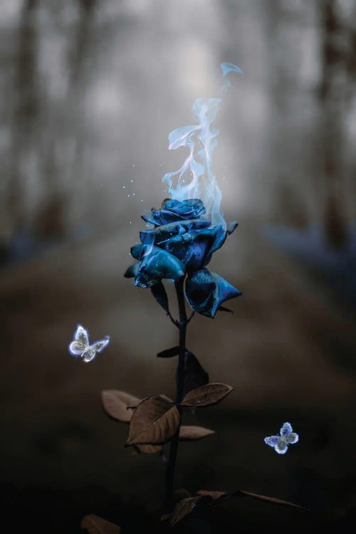 Blue Rose And Flame Butterflies