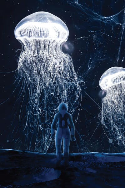 Jellyfish: Astronaut On Moon Meets Jellyfish From Space by GEN Z