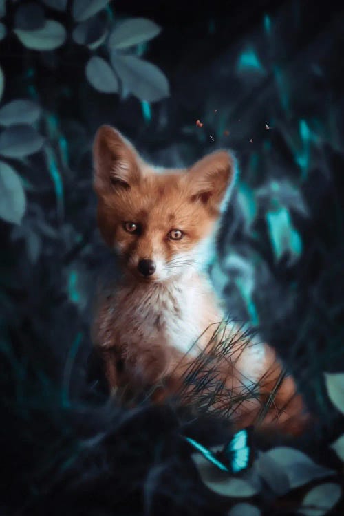 Baby Fox And Blue Butterfly Canvas Print by GEN Z | iCanvas