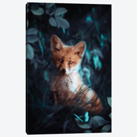 Baby Fox And Blue Butterfly Canvas Print #GEZ245} by GEN Z Canvas Art Print