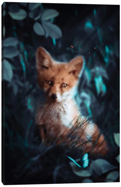 Baby Fox And Blue Butterfly Canvas Art Print - GEN Z