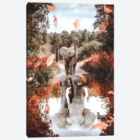 Baby Elephant Reflection In Puddle With Autumn Leaves Canvas Print #GEZ246} by GEN Z Canvas Print