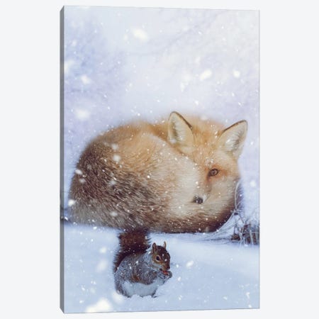 Red Fox And Squirell In Winter Canvas Print #GEZ250} by GEN Z Canvas Print