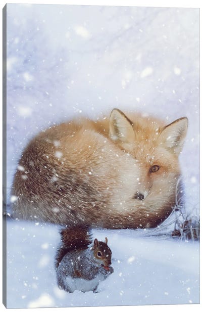 Red Fox And Squirell In Winter Canvas Art Print - Squirrel Art