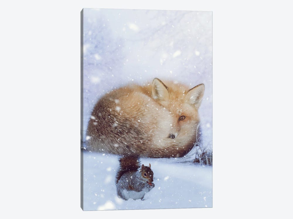 Red Fox And Squirell In Winter by GEN Z 1-piece Canvas Art Print