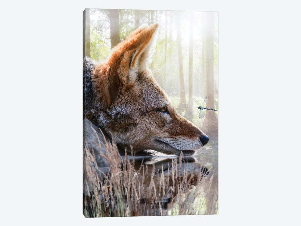 Red Fox And Dragonfly by GEN Z 1-piece Canvas Artwork