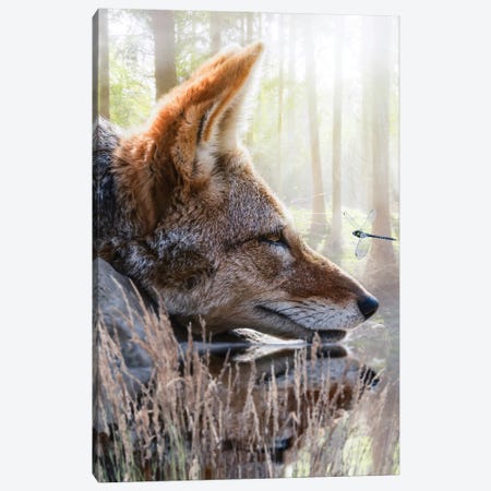 Red Fox And Dragonfly Canvas Print #GEZ251} by GEN Z Art Print