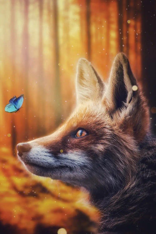 Red Fox And Blue Butterfly