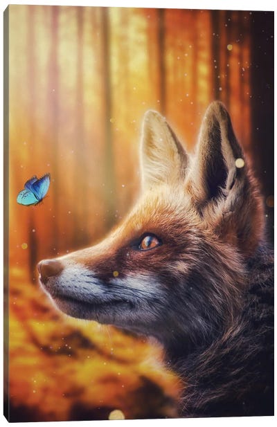 Red Fox And Blue Butterfly Canvas Art Print - Fox Art