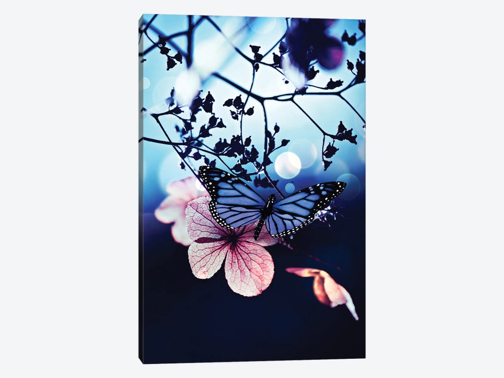 Blue Butterfly On Pink Leaf by GEN Z 1-piece Canvas Wall Art