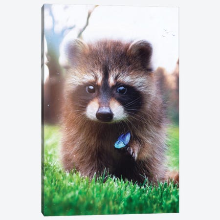 Racoon In Green Grass And Blue Butterfly Canvas Print #GEZ256} by GEN Z Canvas Artwork