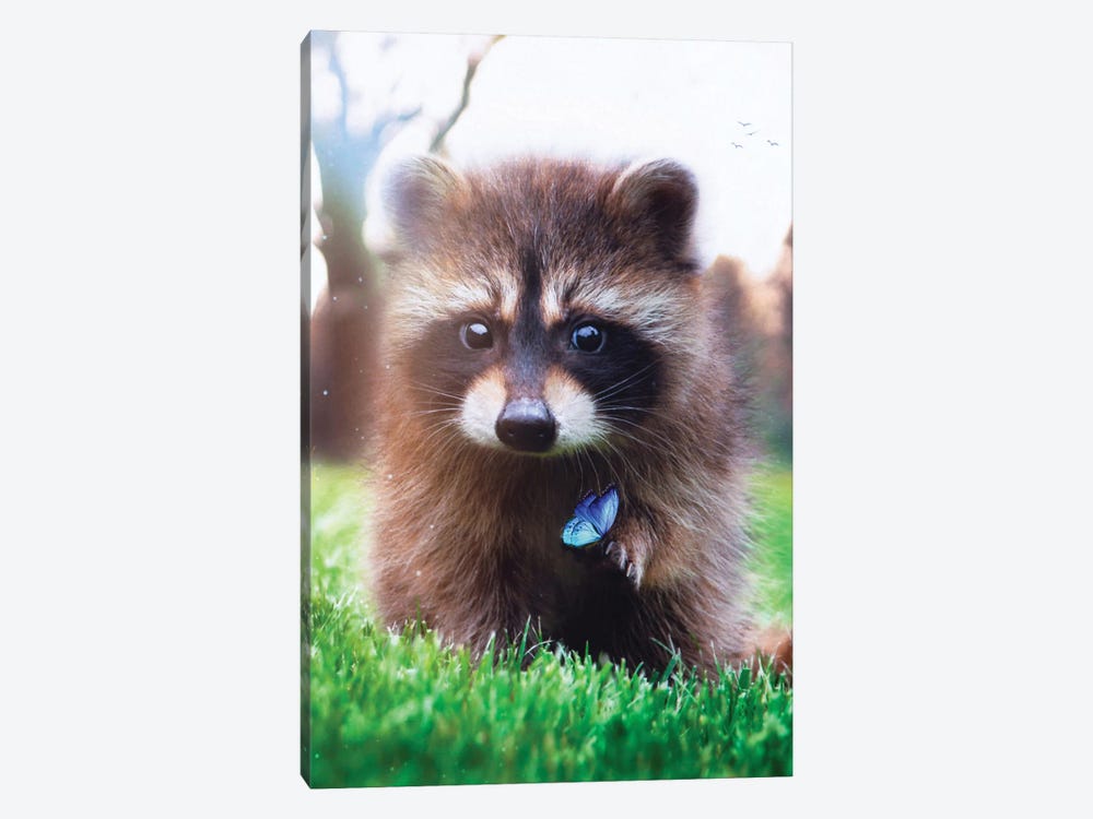 Racoon In Green Grass And Blue Butterfly by GEN Z 1-piece Canvas Art Print